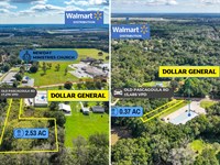 2.89 Acres, Dollar General Adj : Theodore : Mobile County : Alabama
