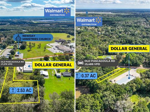 2.89 Acres, Dollar General Adj : Theodore : Mobile County : Alabama
