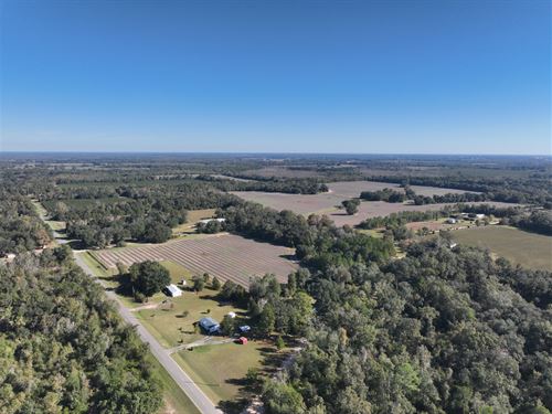 377Ac Farmland & Packing Facility : Marianna : Jackson County : Florida