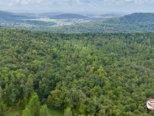 98+/- Acres : Monticello : Wayne County : Kentucky