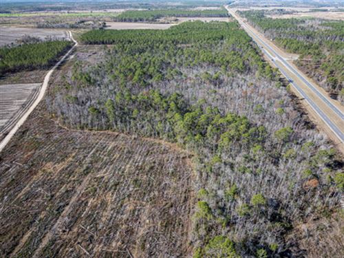 Hunting & Recreational Land : Pearson : Atkinson County : Georgia