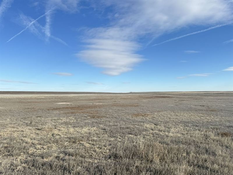 Platner North Land Auction : Otis : Washington County : Colorado