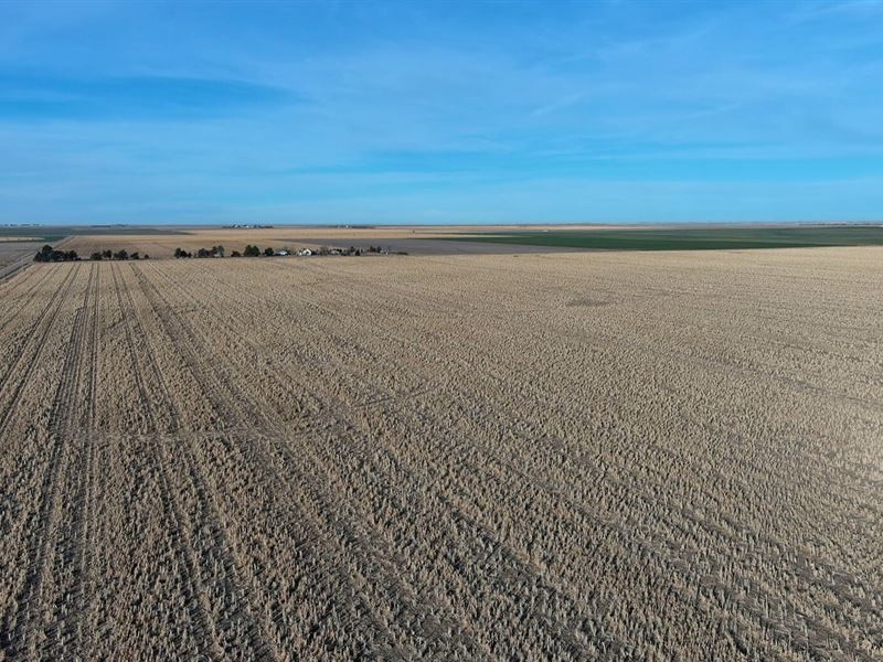 Western Perkins Cty Dryland Auction : Venango : Perkins County : Nebraska