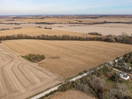 Farm Land Auction, Cass Co Nebraska : Alvo : Cass County : Nebraska