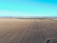 Hyde Dryland Auction : Otis : Washington County : Colorado