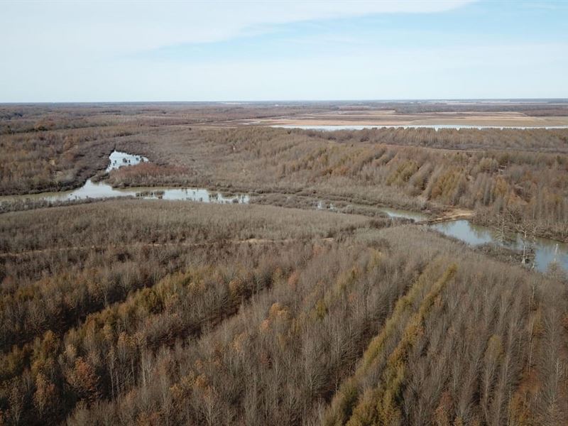 Johnson's on The Cache : Des Arc : Prairie County : Arkansas