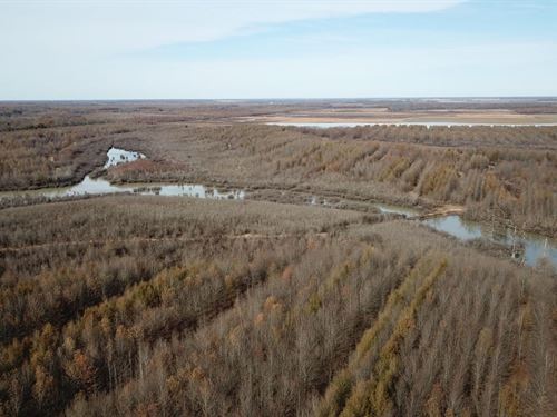 Johnson's on The Cache : Des Arc : Prairie County : Arkansas