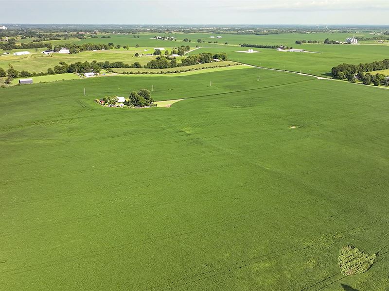 Land Auction, Mercer Co, KY : Harrodsburg : Mercer County : Kentucky