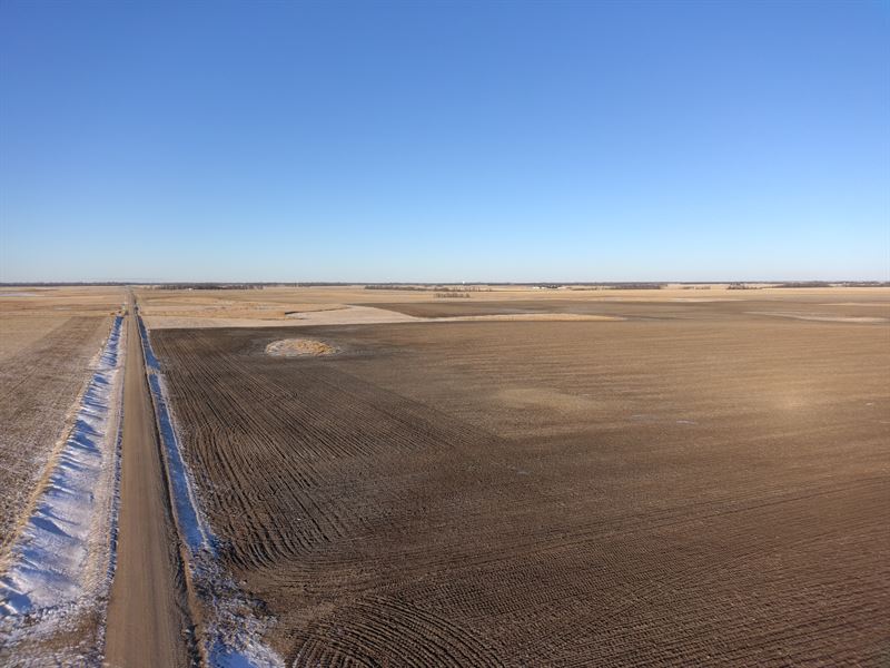 158 Acres, Brown County, South : Groton : Brown County : South Dakota