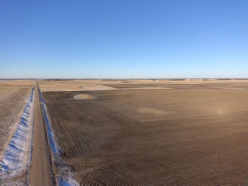 158 Acres, Brown County, South : Groton : Brown County : South Dakota