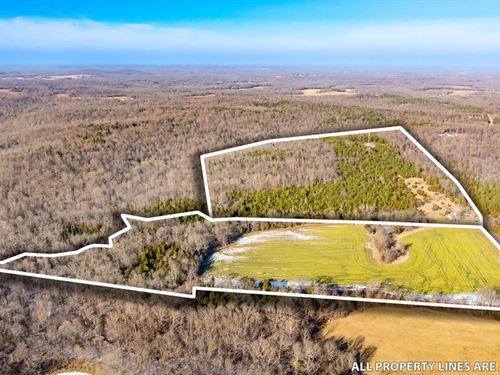 70 Acres in Hopkinsville, KY : Hopkinsville : Christian County : Kentucky