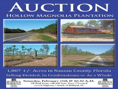 Hollow Magnolia Plantation : Hilliard : Nassau County : Florida
