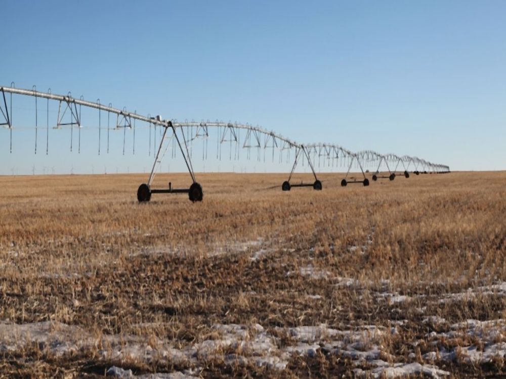 Weld Cty Pivot Irr & Pasture & Land : Keenesburg : Weld County : Colorado