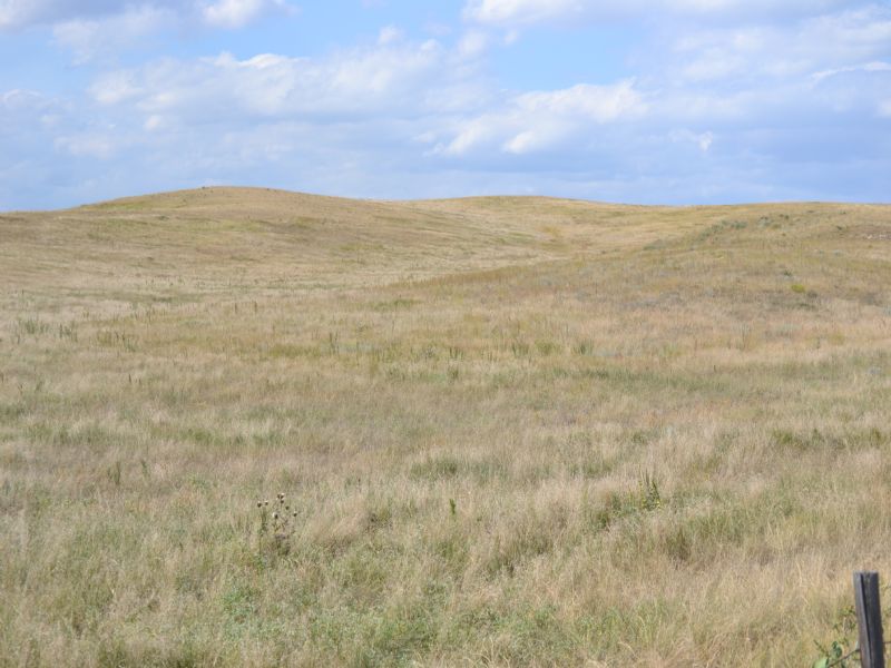 Pasture Land Auction : Ogallala : Keith County : Nebraska