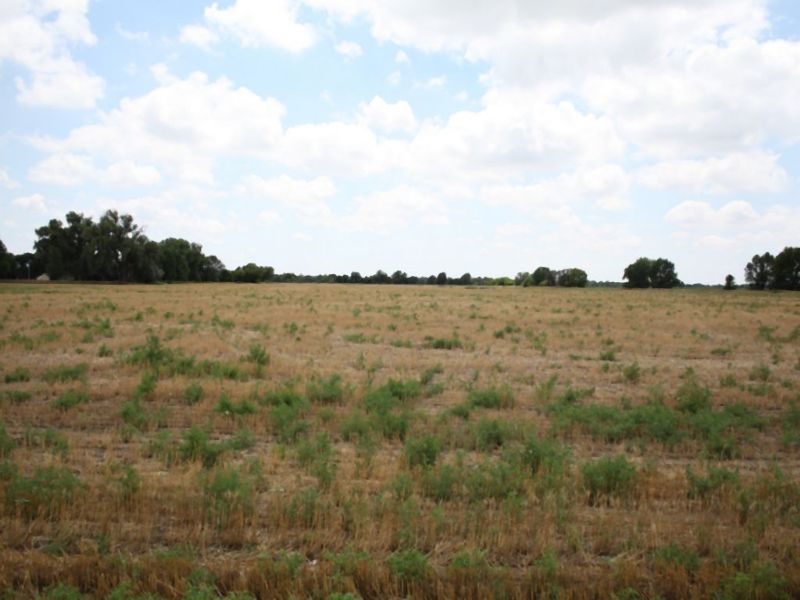 Gregory Estate Auction : Sterling : Logan County : Colorado