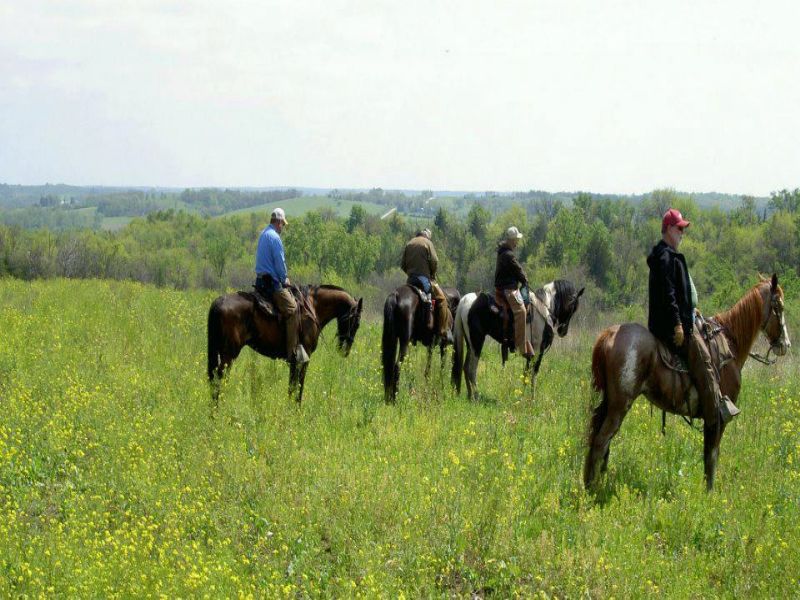 Bird Dog Ranch : Thayer : Union County : Iowa