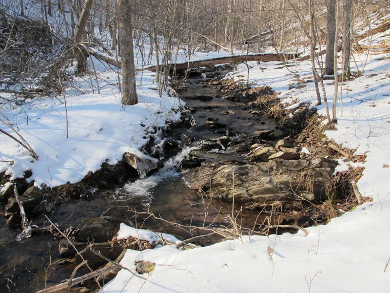 713.27 Acres in 7 Tracts with Pond : Winchester : Frederick County : Virginia