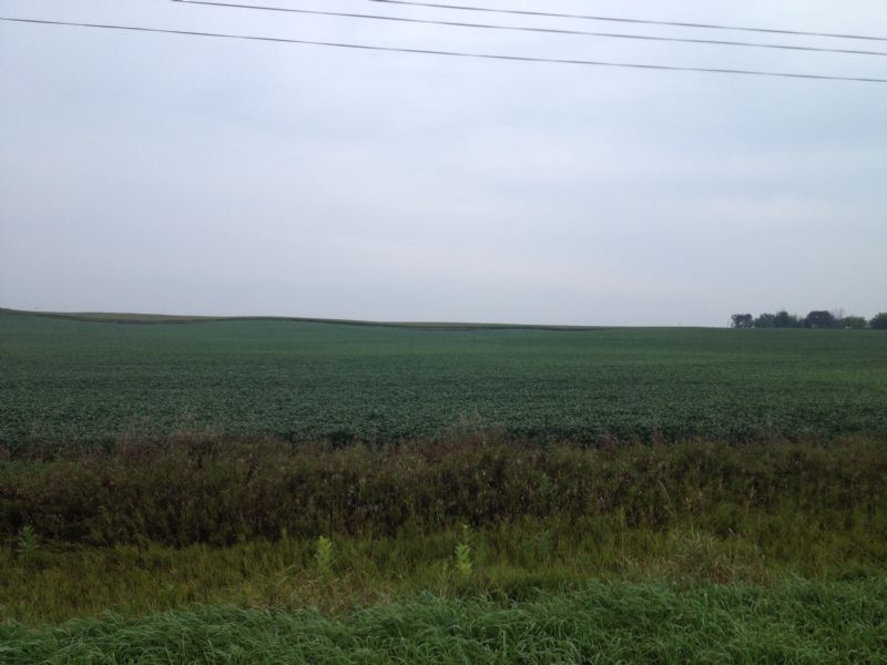Productive Iowa Farmland : Terril : Dickinson County : Iowa