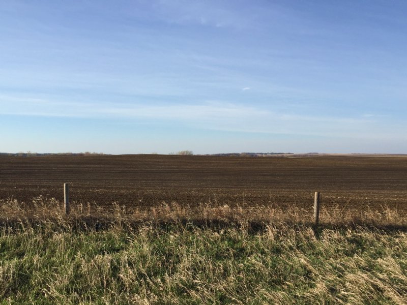 Productive Quarter Section : Lakefield : Jackson County : Minnesota