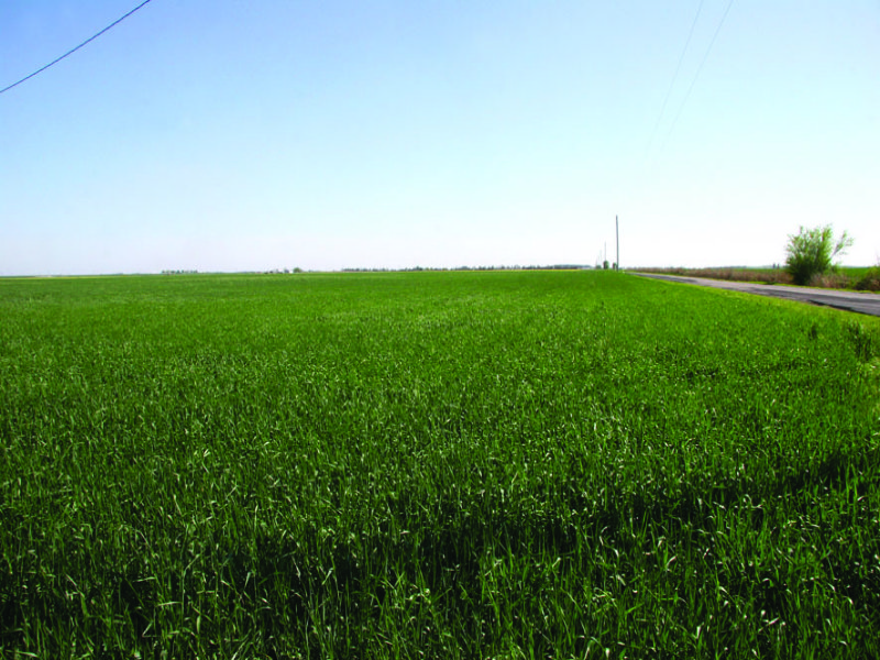 240 Acres in The Bethel Community : Hinton : Caddo County : Oklahoma