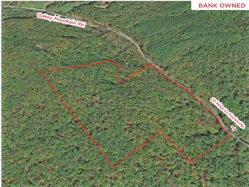 60+/- Acres - Bank Owned : Clarkesville : Habersham County : Georgia
