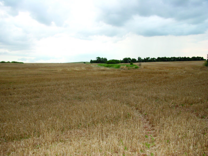 160 Acres : Eakly : Caddo County : Oklahoma