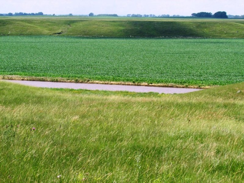 913 Hunting, Farm & Pasture : Woonsocket : Sanborn County : South Dakota