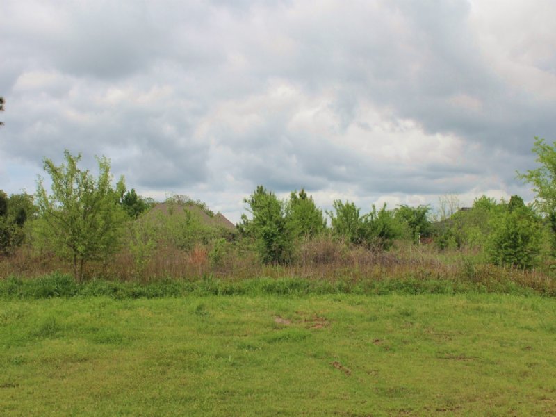 Residential Country Home Lot : Powderly : Lamar County : Texas