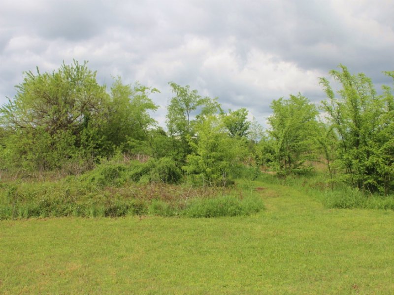 Residential Country Home Lot : Powderly : Lamar County : Texas