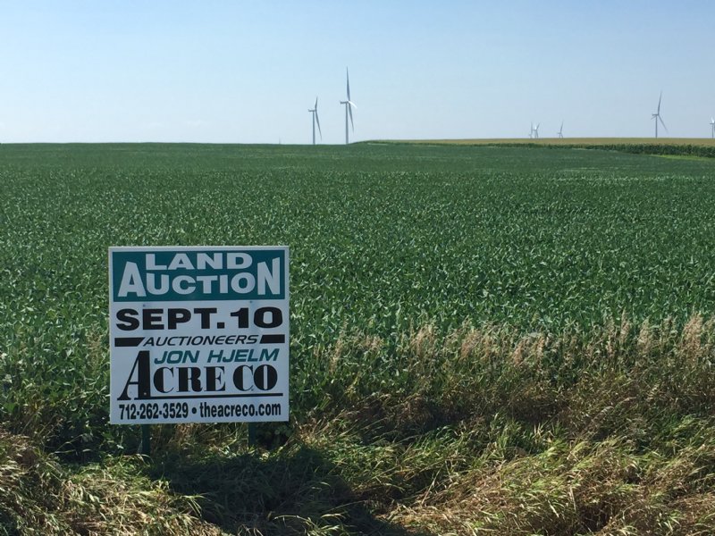 Outstanding 76 Acre Farm : Sutherland : O'Brien County : Iowa