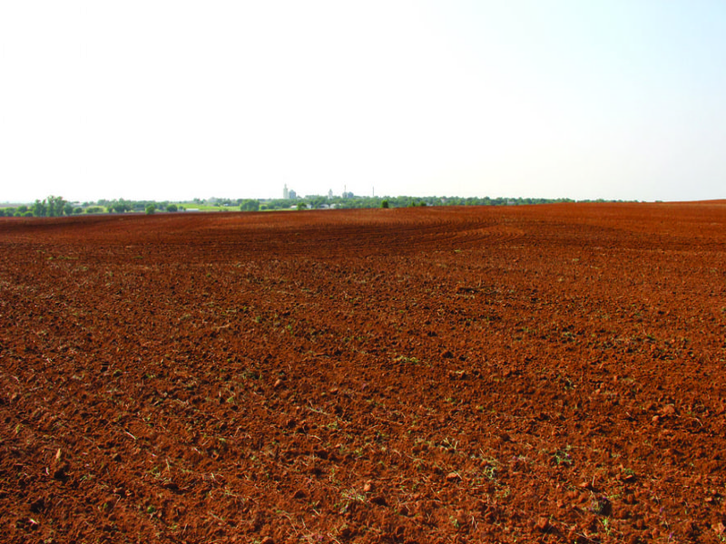 160 Acres Of Productive Farmland : Custer City : Custer County : Oklahoma
